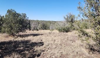 3214 N Kerren Lp, Ash Fork, AZ 86320