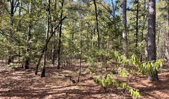 Tract 51 Highway 2, Antlers, OK 74523