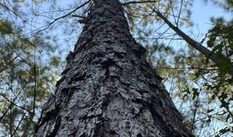 0 Military Rd, Beaverton, AL 35544