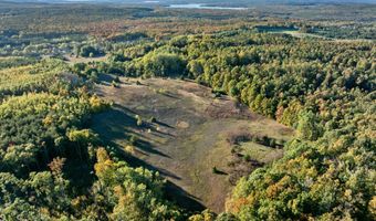 6639 REAMS Rd, Alanson, MI 49706