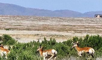 400 Cold Spring Point Rd, Crescent Valley, NV 89821