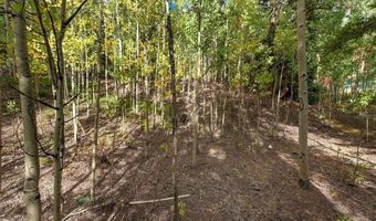452 QUARTZVILLE Rd, Alma, CO 80420