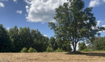 001 Farr Rd, Bolton, MS 39041