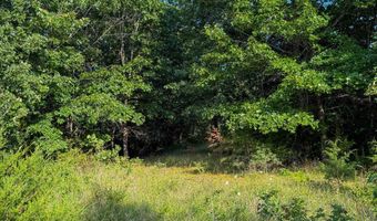 Co Rd 539, Ava, MO 65629