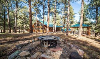 1215 Beaver Creek Dr, Bayfield, CO 81122