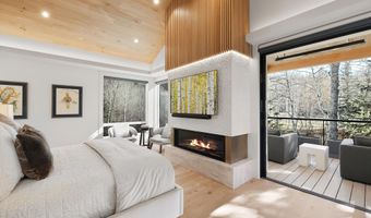 55 Smuggler Grove Rd, Aspen, CO 81611