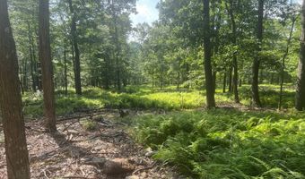 242 Brush Mountain Rd, Altoona, PA 16601