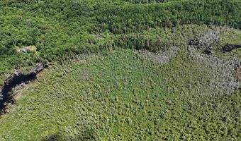 905 Gideons Mill Rd, Brighton, VT 05846