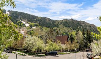 120 S Spring St 1, Aspen, CO 81611