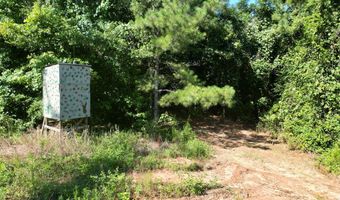 AL HWY 223, Banks, AL 36005