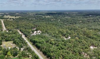 SW Nassau Ave, Arcadia, FL 34266