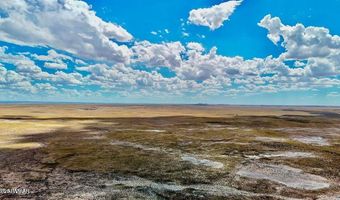 Co Rd N7012 40 Acres, Chambers, AZ 86502