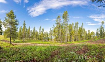 43 Elk Meadows Ln, Anaconda, MT 59711