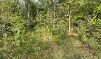 Putnam Avenue lot 5, Alford, FL 32420