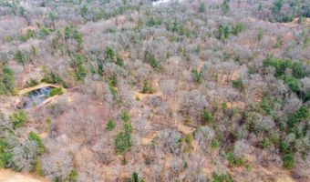Dover Drive lot 2 +/-43 Ac, Adams, WI 53910