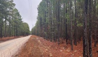 TBD Freeman Rd, Bethune, SC 29009
