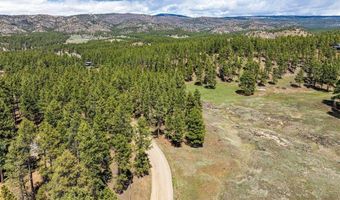 841 Beaver Creek Dr, Bayfield, CO 81122