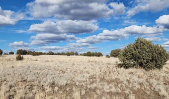 True Grit lot 55A, Ash Fork, AZ 86320
