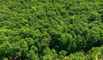 County Road 101, Alton, MO 65606