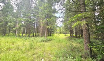 7248 E Honeysuckle Rd, Athol, ID 83801