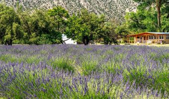 PURPLE ADOBE LAVENDER FARM 25 Private Drive 1622, Abiquiu, NM 87510