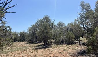 249 W Kings Ranch Rd, Ash Fork, AZ 86320