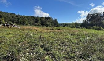 Lynch Road, Alfred, NY 14806