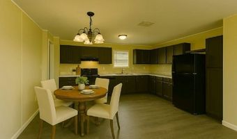 263 Barrow St 599, Apopka, FL 32712