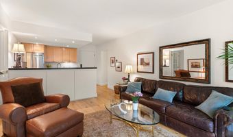 412 Vine St, Aspen, CO 81611