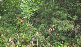 Lock 3 Road, Batesville, AR 72501