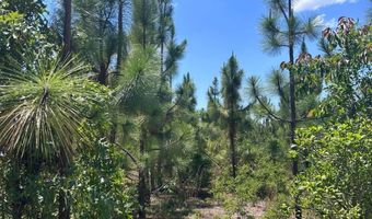 001 West Rd, Bethune, SC 29009