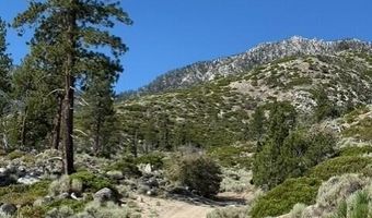 Kingsbury Grade, Gardnerville, NV 89460