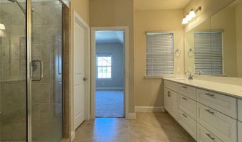 1038 Mj Brown St, Allen, TX 75002