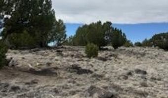 38 CR 8250, Concho, AZ 85924