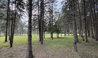 2220 M-30, Alger, MI 48610