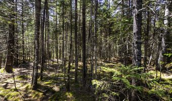 Arrowhead Road lot 38, Bar Harbor, ME 04609