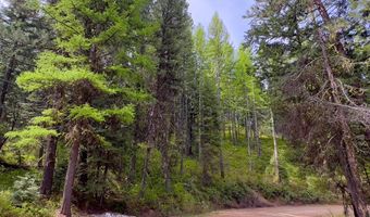 45 Landale Ln Lot 41, Cascade, ID 83611