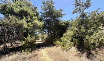 9927 Modrigan Ln, Fallbrook, CA 92028