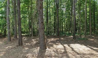 Peace Lane, Bowman, SC 29018