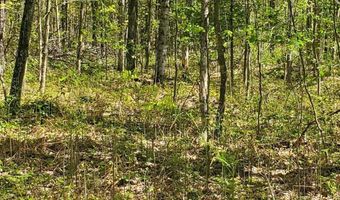 40 AC Werth Rd, Alpena, MI 49707
