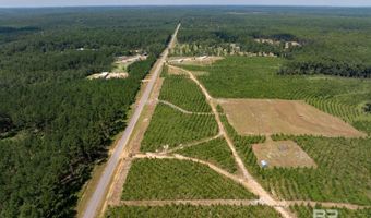 0 Horseneck Rd, Bay Minette, AL 36507