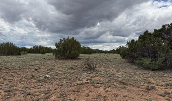 8 County Road 8080, Concho, AZ 85924