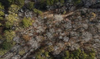 Maddox Road, Ackerman, MS 39735