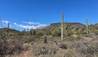31900 S Tillys Trl, Black Canyon City, AZ 85324