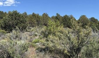 Medicine Mountain Drive, Beatty, OR 97621