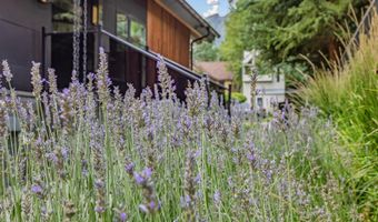 500 W Smuggler St, Aspen, CO 81611