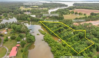 8165 County Road 97, Abbeville, AL 36310