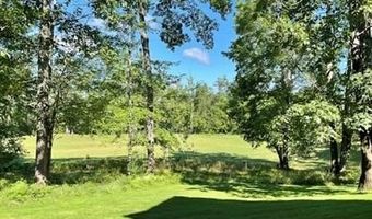 907 Chardonnay, Lewiston, MI 49756