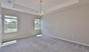 6356 CAMINO Dr, Apollo Beach, FL 33572