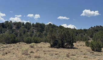 5 County Rd # 8095, Concho, AZ 85924